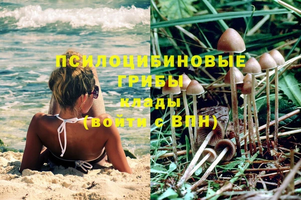 молекула духа Алексин